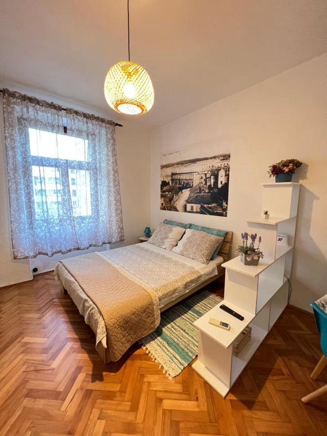 Colorita Studio Póla Kültér fotó